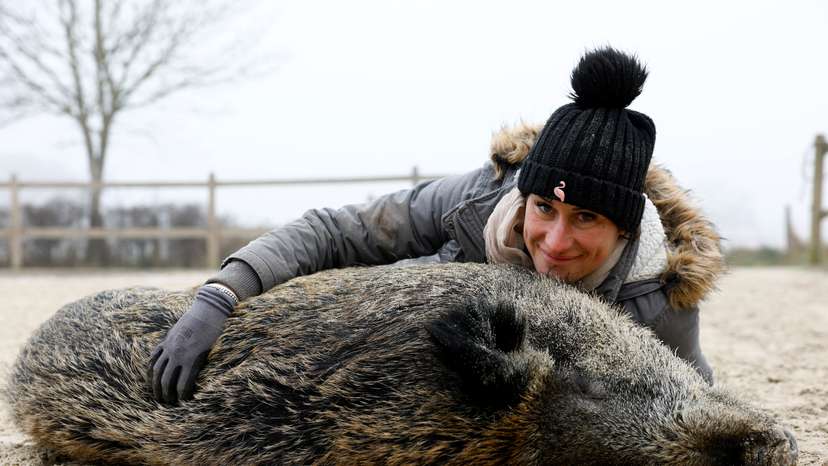 French horse breeder Elodie Cappe fights to keep a saw named Rillette at home