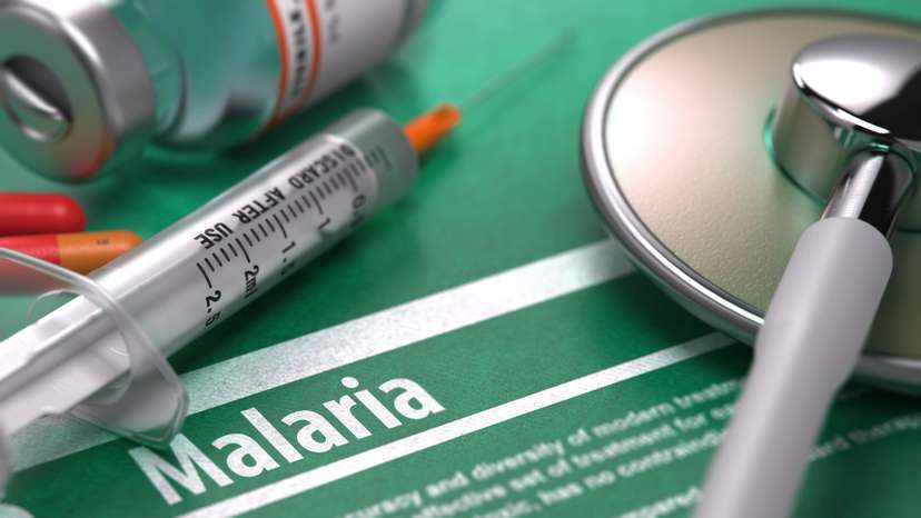 Malaria-tratamento