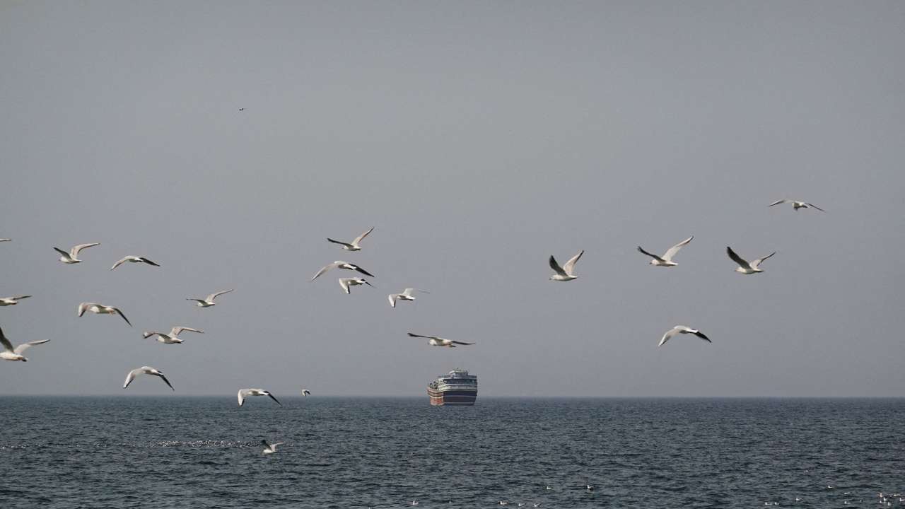 Birds fly near a boat in the Strait of Hormuz amid the U.S.-Israeli conflict with Iran, as seen from Musandam
