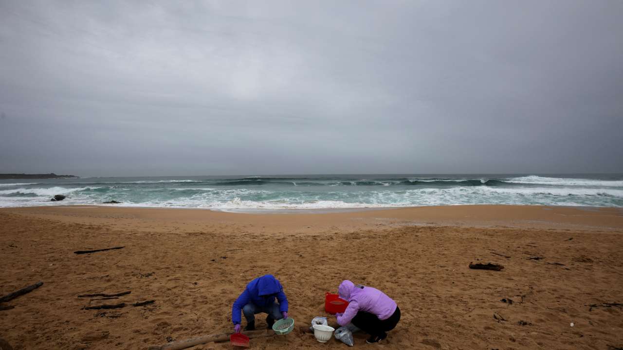 Millions of plastic pellets wash up on Spanish shore