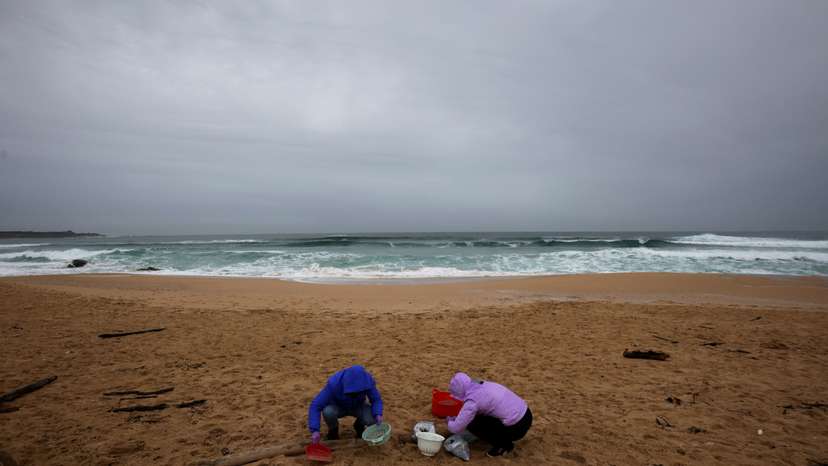 Millions of plastic pellets wash up on Spanish shore