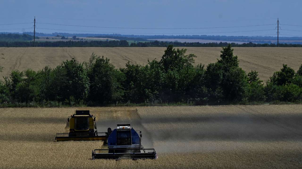 FILE PHOTO: Wheat harvesting in Zaporizhzhia region of Ukraine