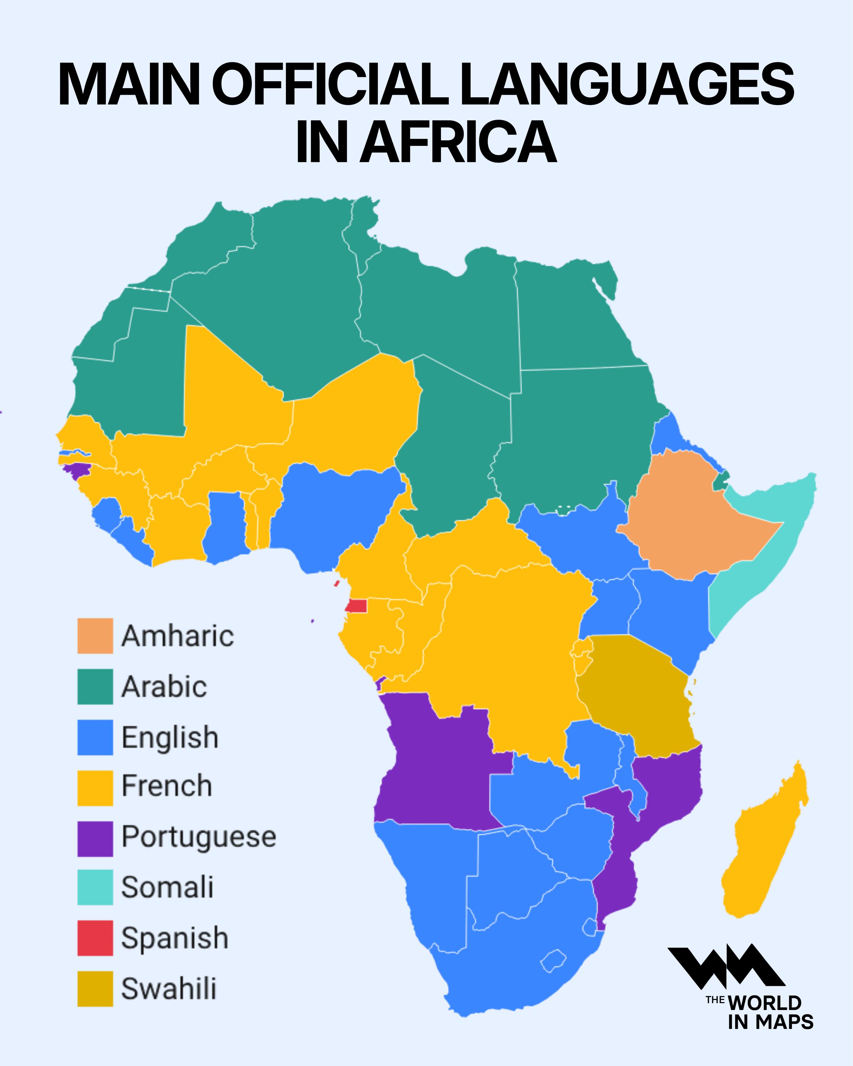 WhatsApp Image 2026-03-05 at 08.20.48