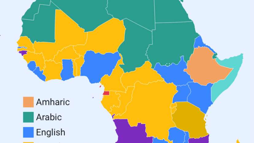 WhatsApp Image 2026-03-05 at 08.20.48