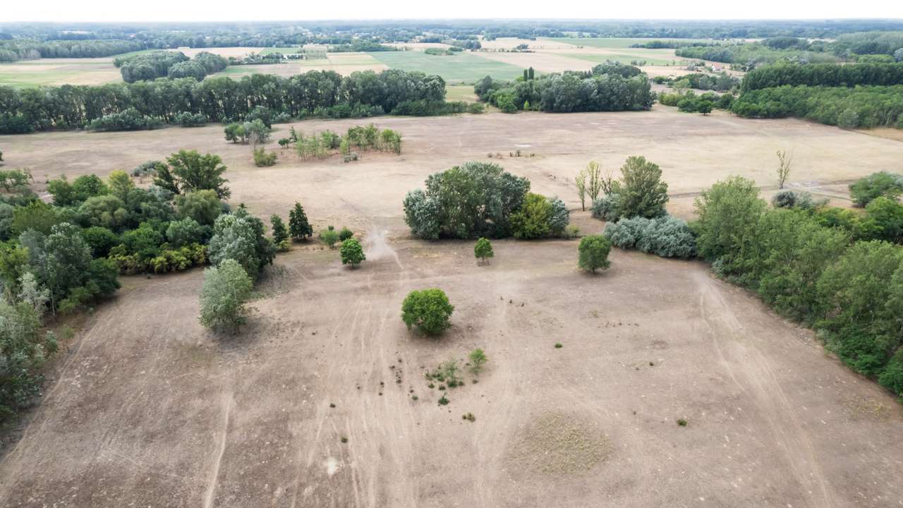 A dried-up lands near Jaszszentlaszlo