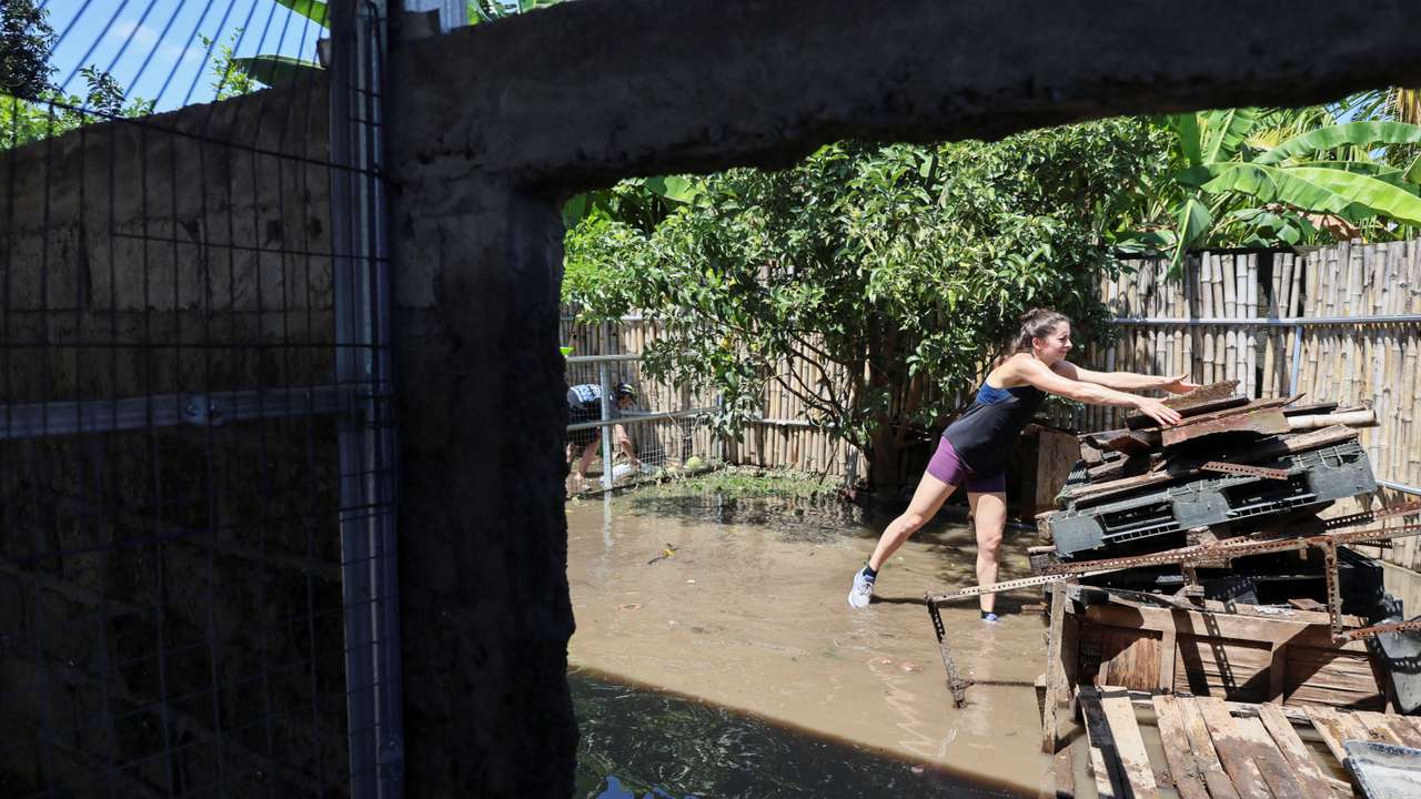 Flooded dog shelter in Bali