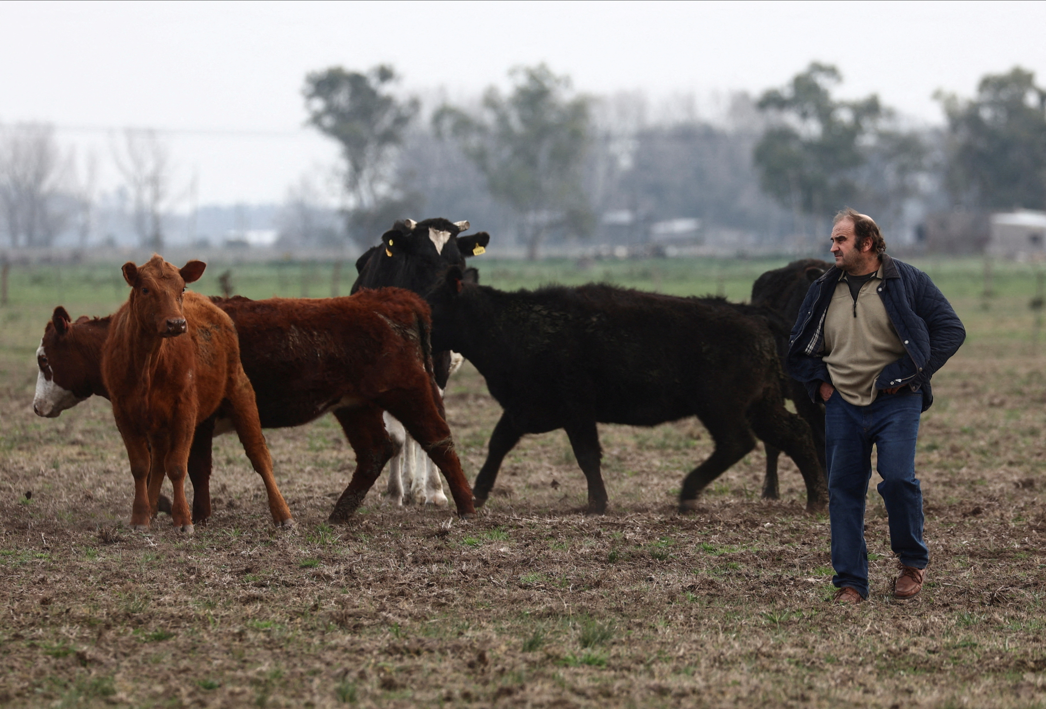 FILE PHOTO: Argentine farmers lay out political expectations before presidential primaries