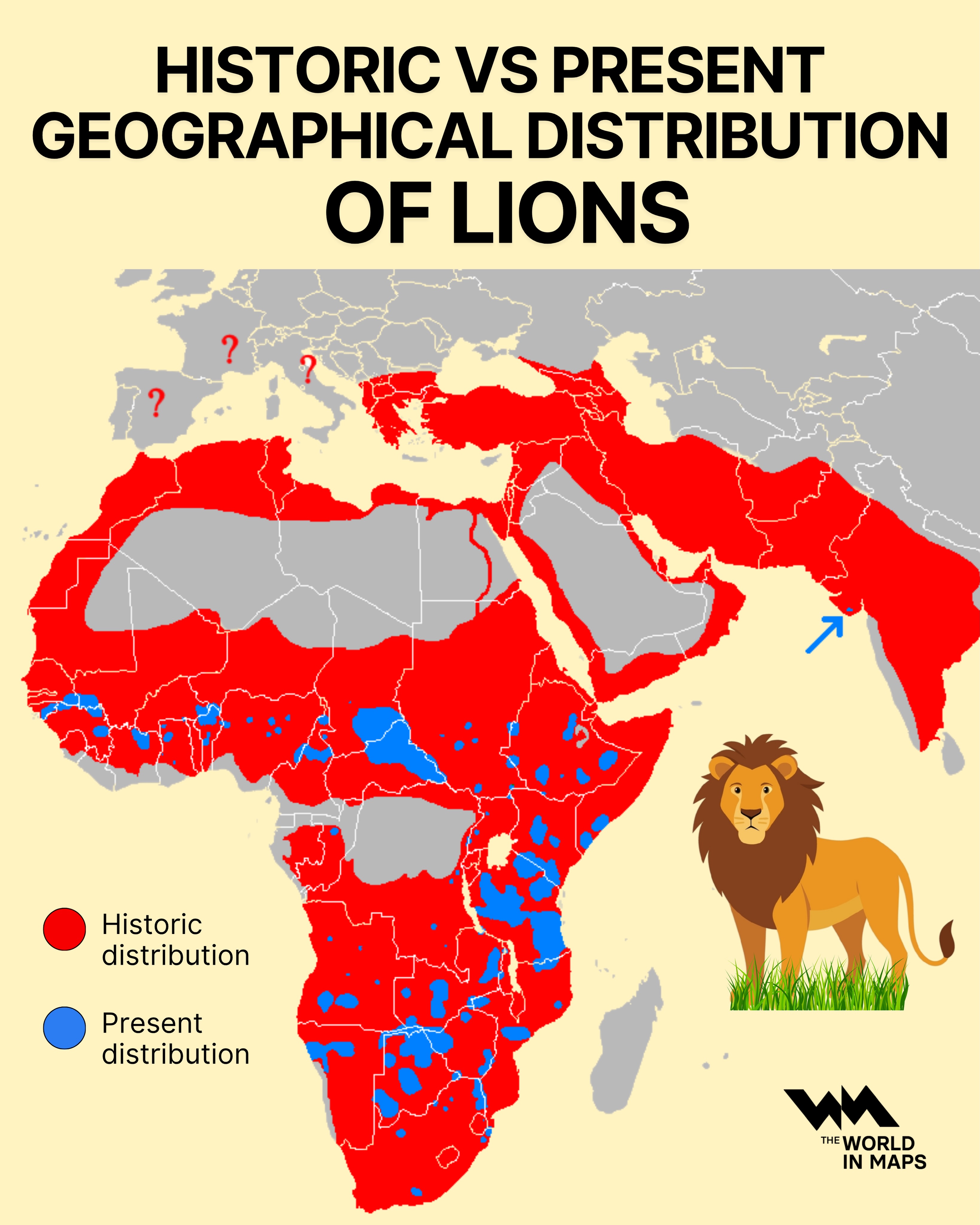 Lions now occupy just 6% of their historic range as wild populations shrink