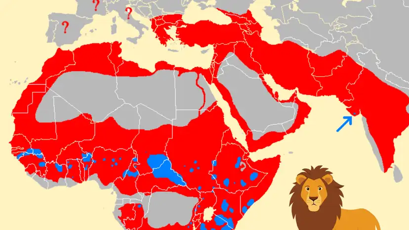 Lions now occupy just 6% of their historic range as wild populations shrink