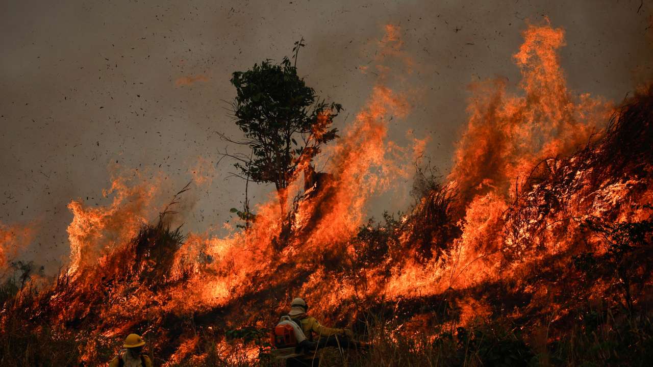 FILE PHOTO: Fire rising in Amazon rainforest in Apui, Amazonas state