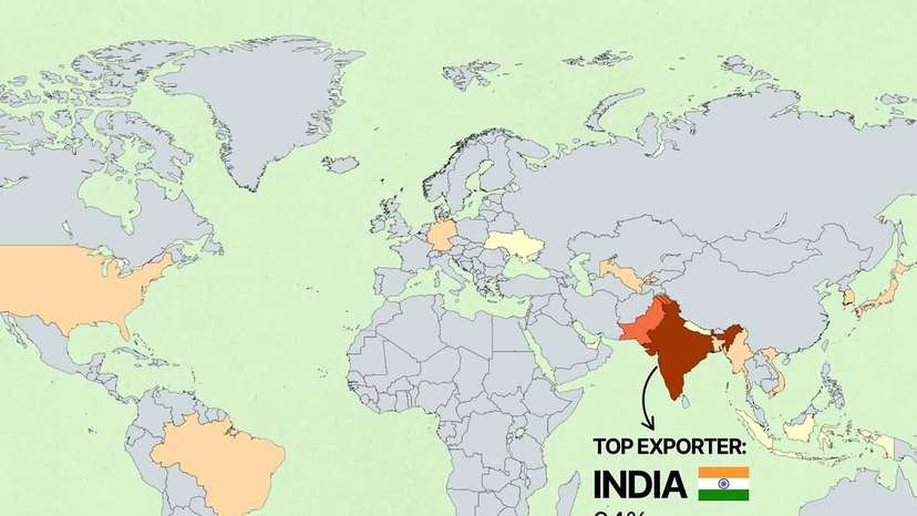 When it comes to the global trade in human hair, no country dominates quite like India. Despite (1)