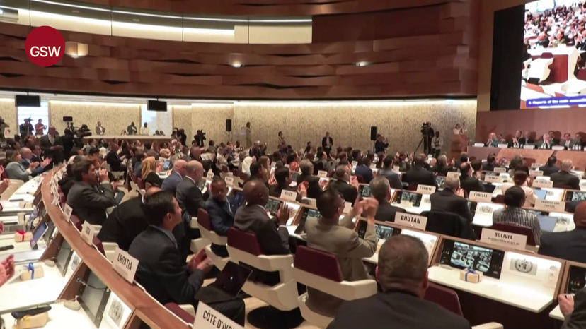 vlcsnap-2025-05-20-13h37m28s521