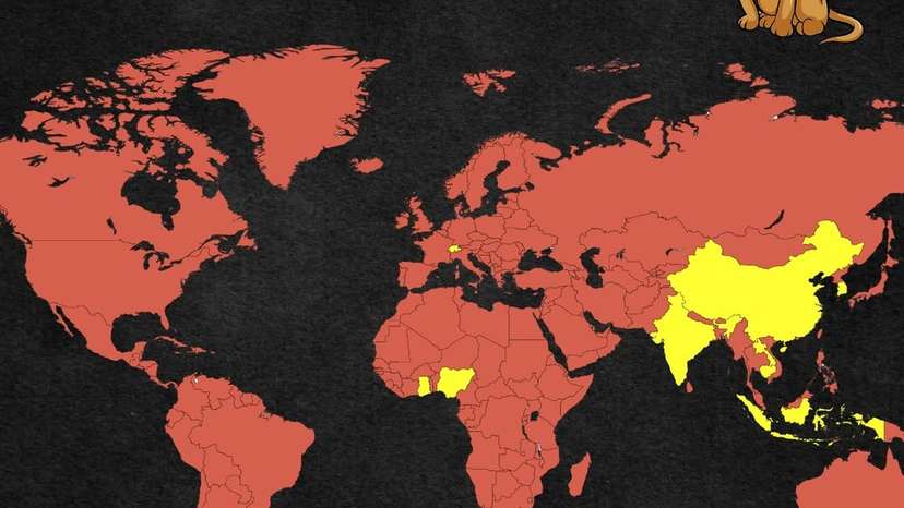 Dog meat consumption has a long and controversial history. While most of the world today conside