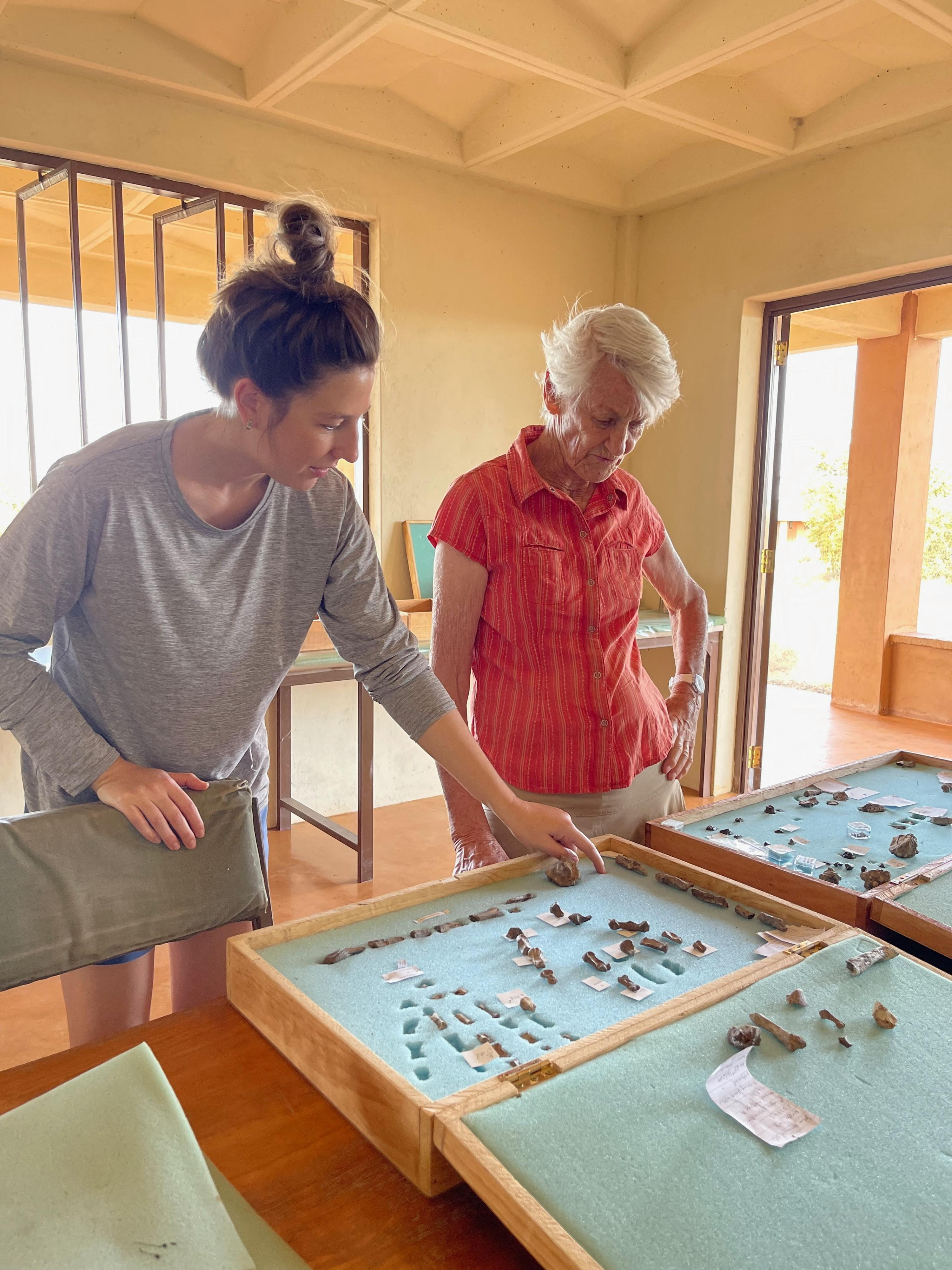 Hand and foot fossils found for ancient human relative