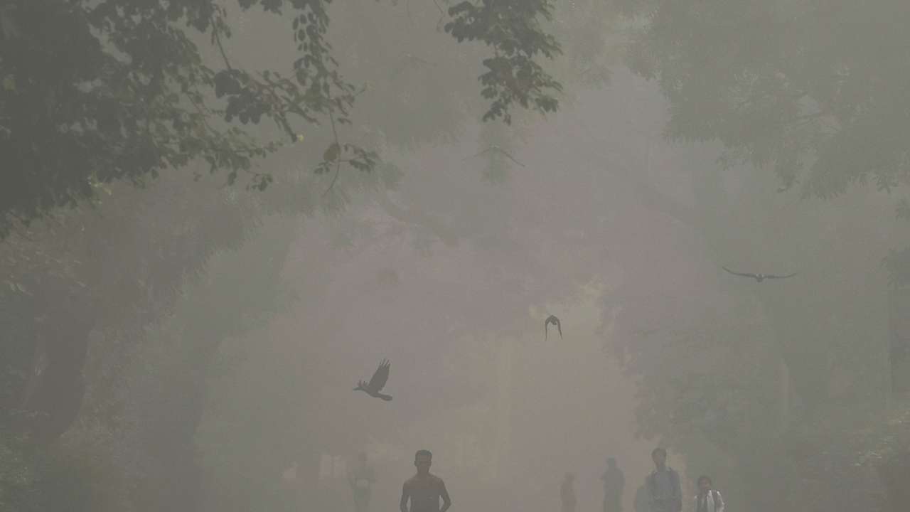 A man jogs as he participates in a marathon while the sky is enveloped with smog after Delhi’s air quality was classified as "hazardous" amidst severe air pollution, in New Delhi