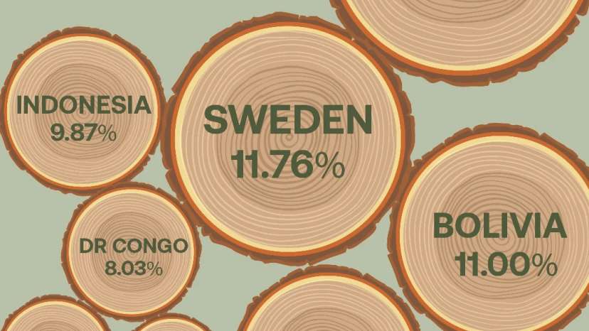 Ten thousand years ago, forests, shrubs, and wild grasslands blanketed 71% of the Earth’s land