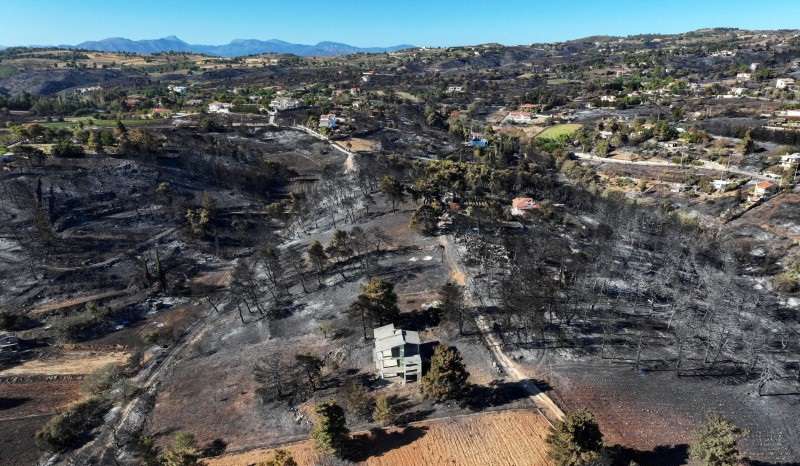 Aftermath of a wildfire in the village of Varnavas, near Athens