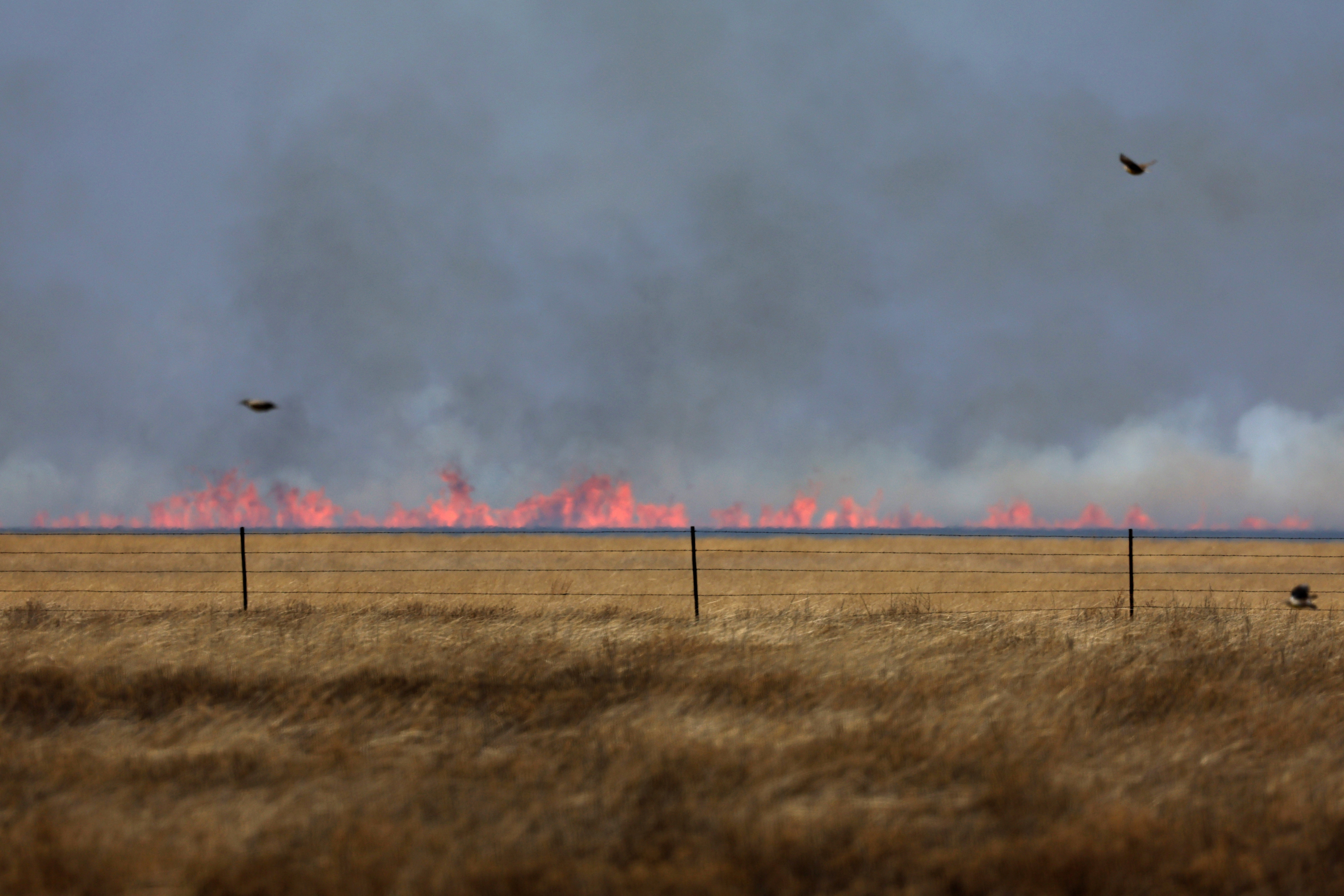 FILE PHOTO: Wildfires kick up in high winds in the Texas panhandle, U.S.