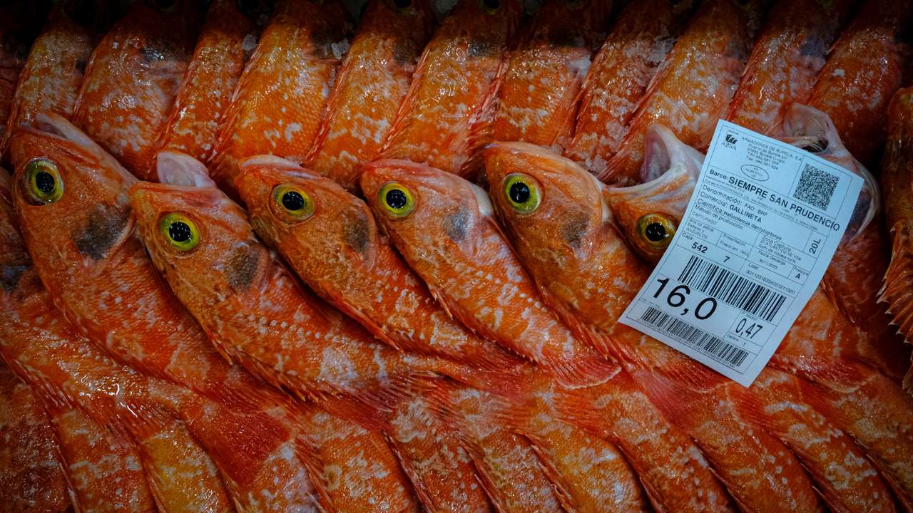 FILE PHOTO: Fish displayed ahead of an auction in Burela, Spain