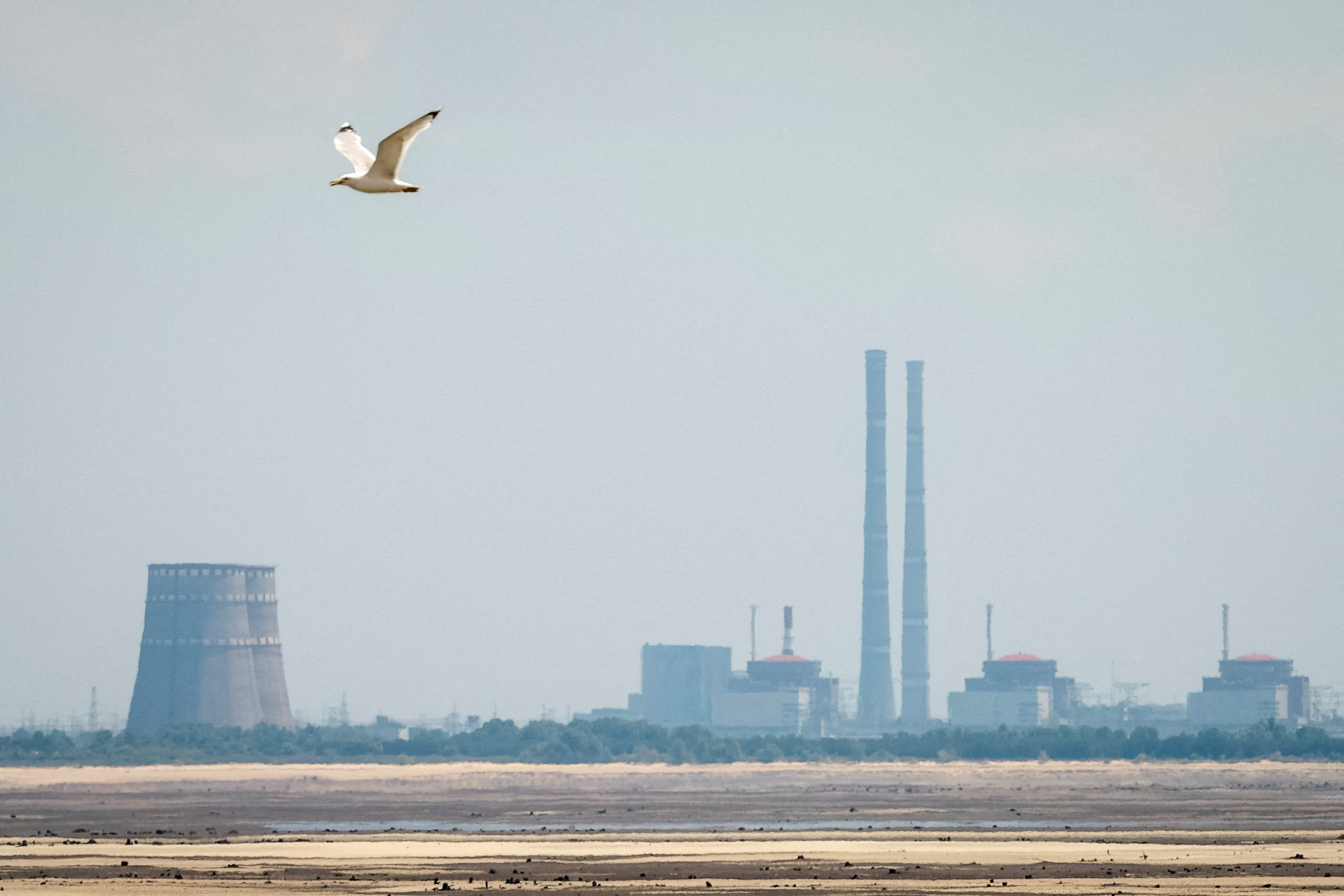 FILE PHOTO: View shows Zaporizhzhia Nuclear Power Plant from the bank of Kakhovka Reservoir in Nikopol