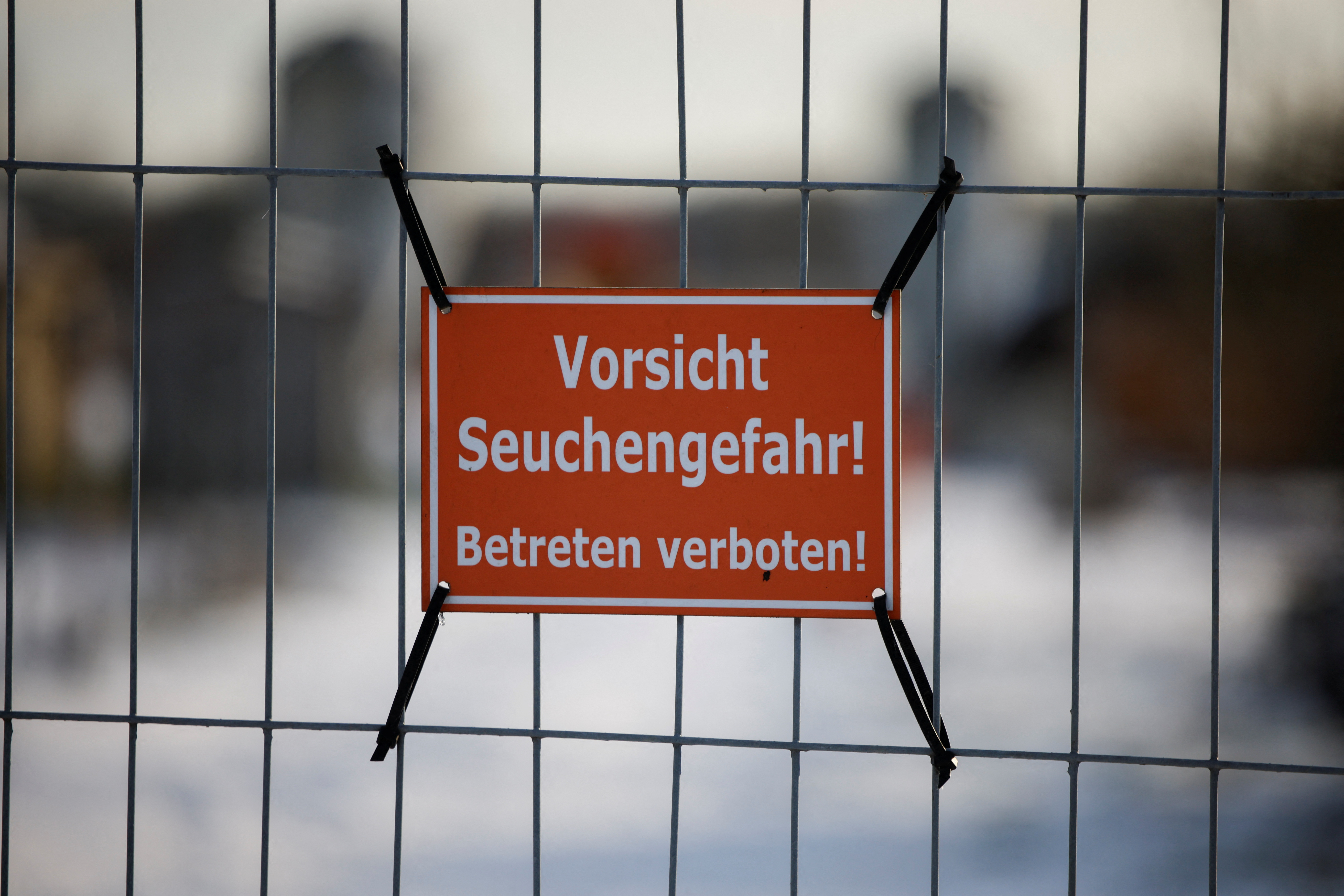 German meat exports face disruption after foot-and-mouth disease case