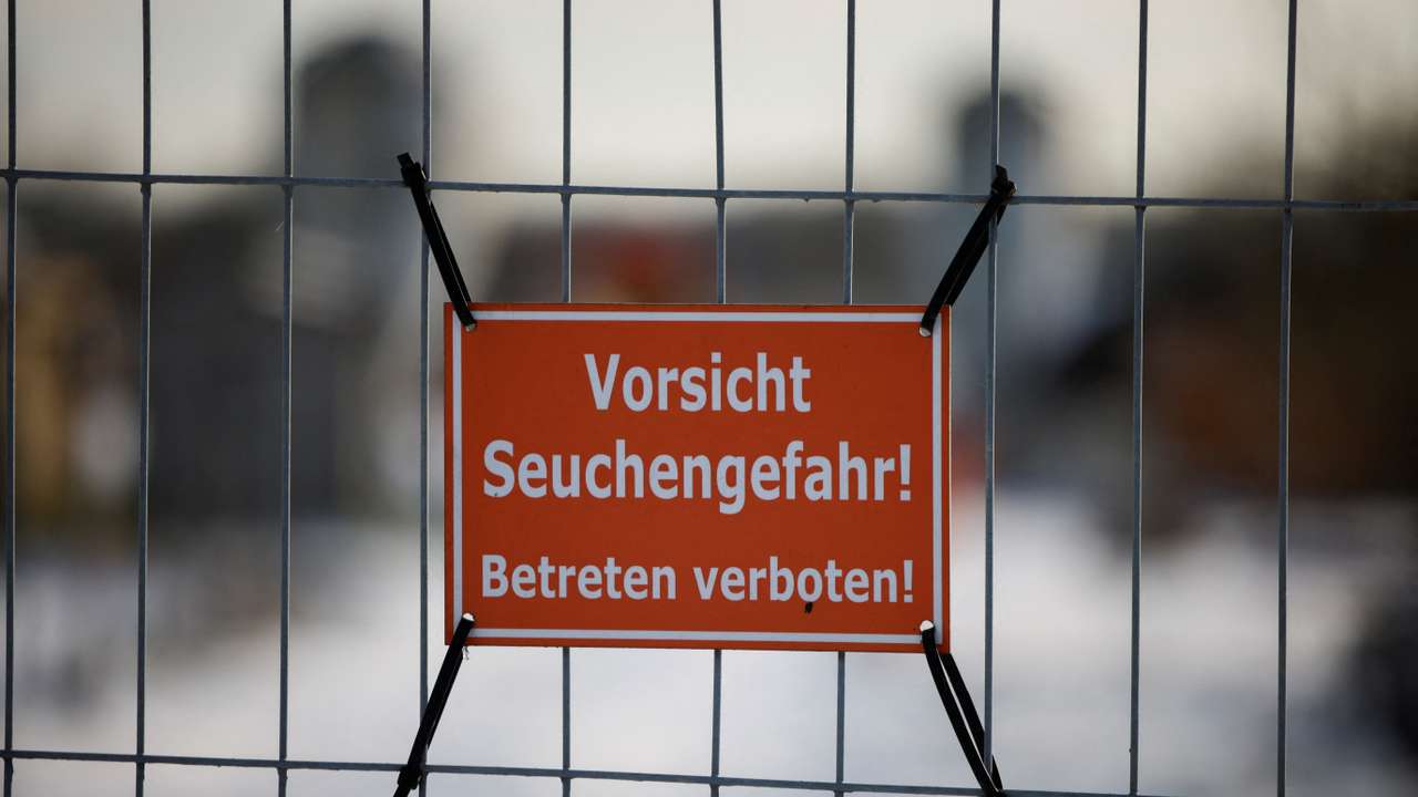 German meat exports face disruption after foot-and-mouth disease case