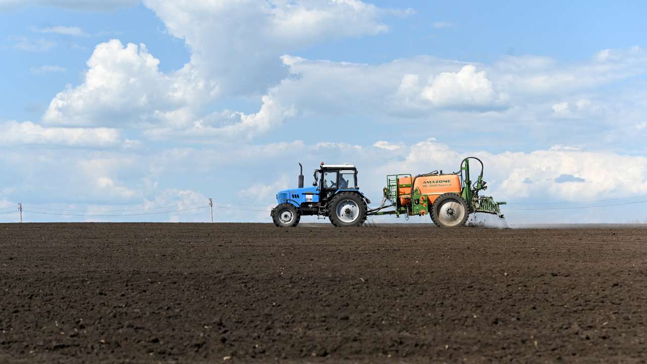 Farmers sow sunflower in Rostov region