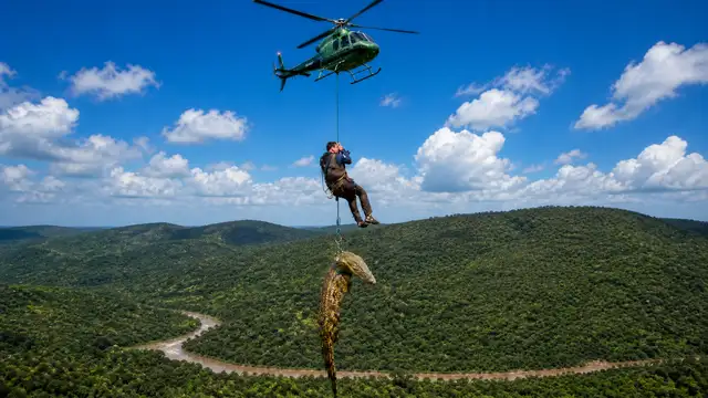 South Africa retrieves crocodile