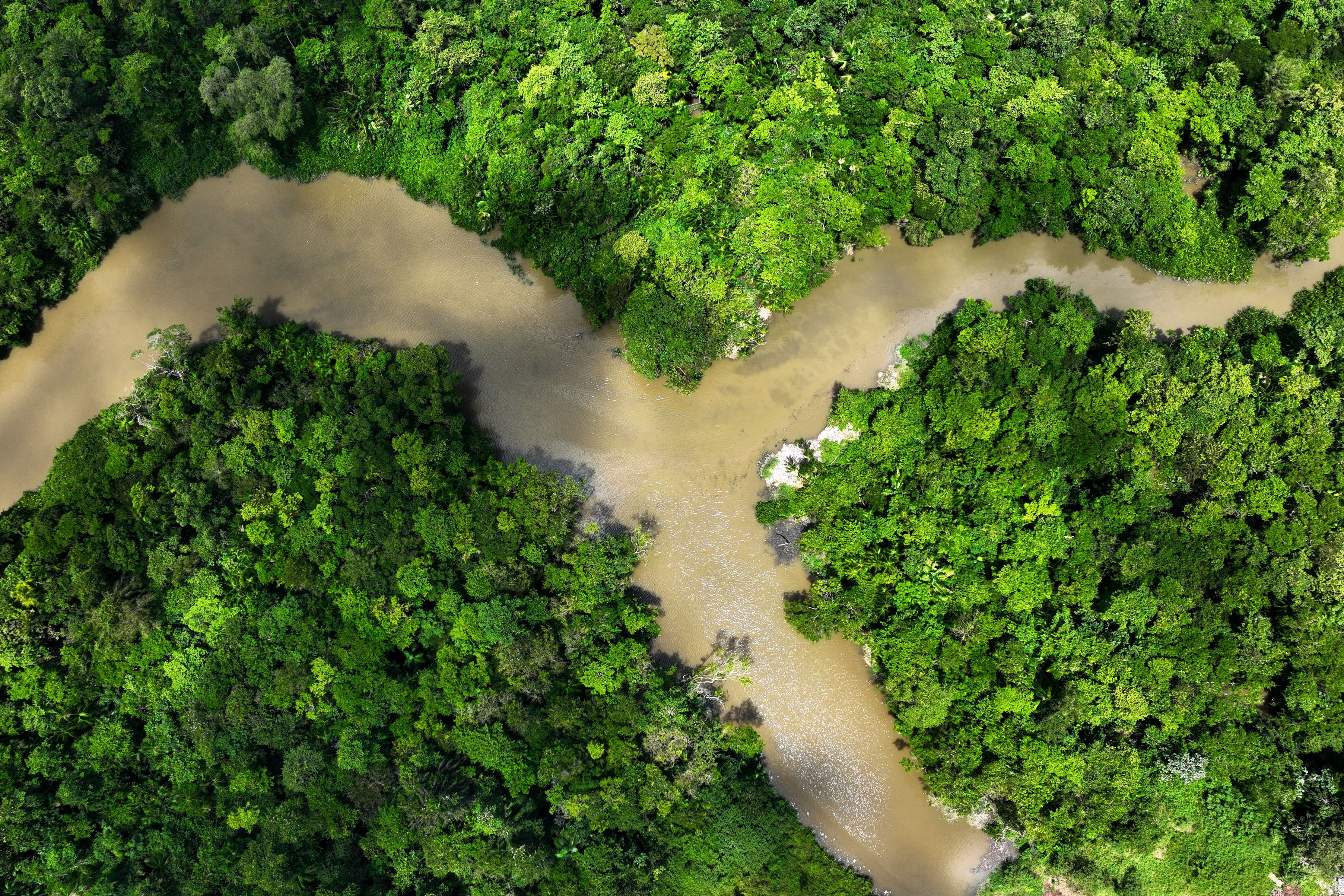 Illegal industrial dumping threatens residents of Belem, the host city of the Amazon Summit