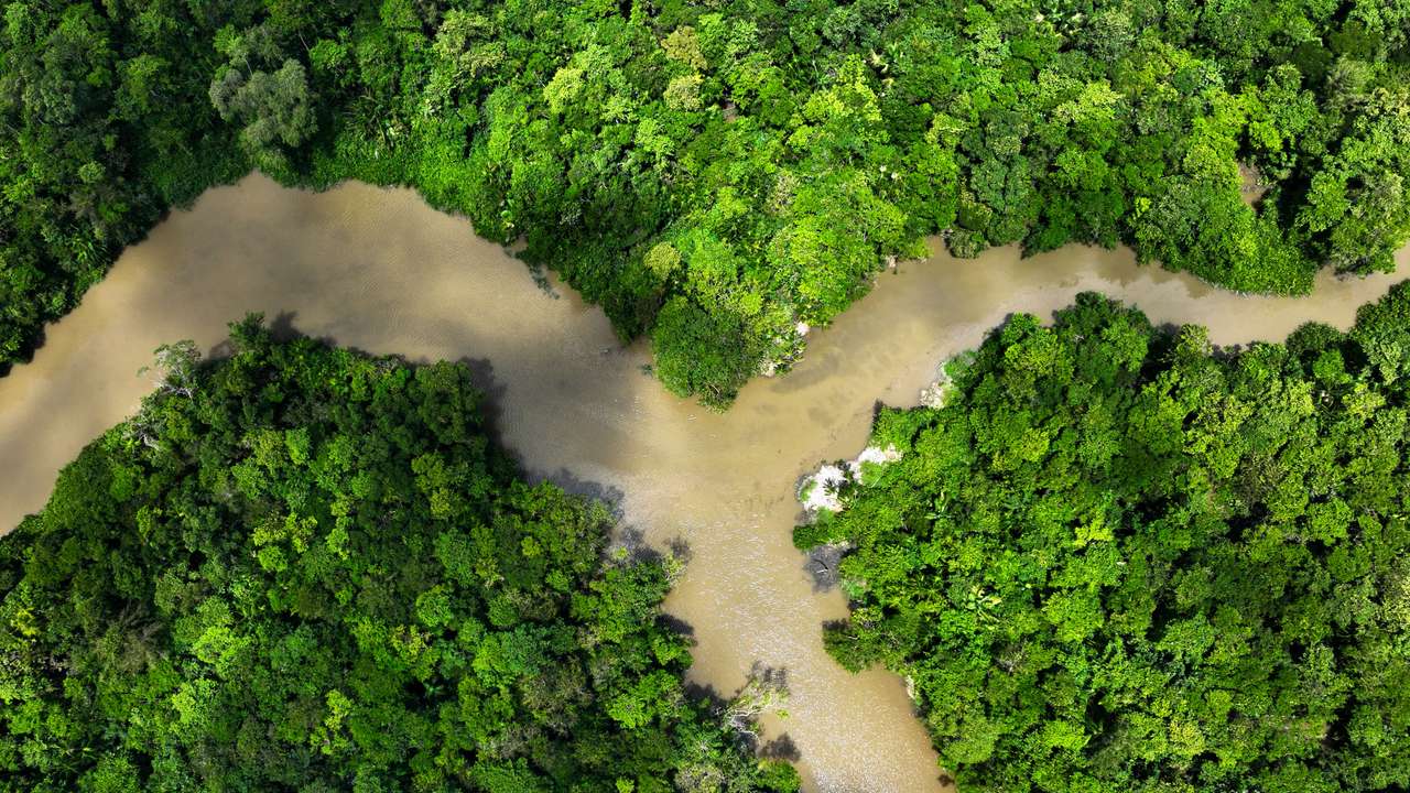 Illegal industrial dumping threatens residents of Belem, the host city of the Amazon Summit
