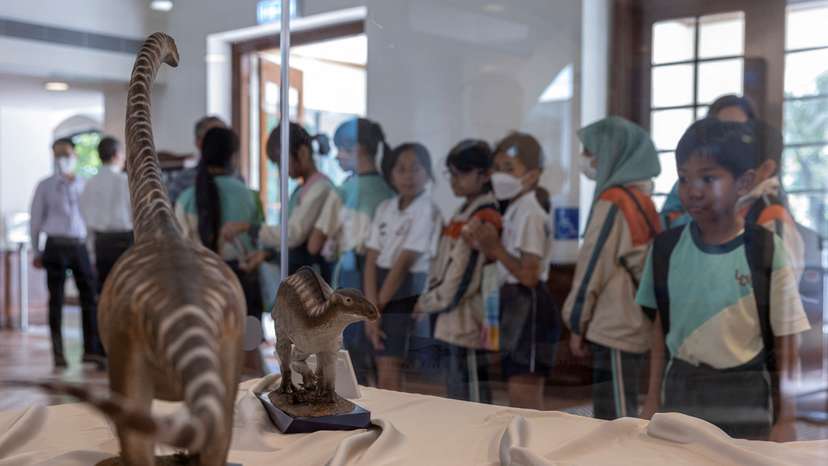 Dinosaur figurines are displayed at the Hong Kong Heritage Discovery Centre during an exhibition featuring a rock containing dinosaur bone fossils discovered for the first time, in Hong Kong