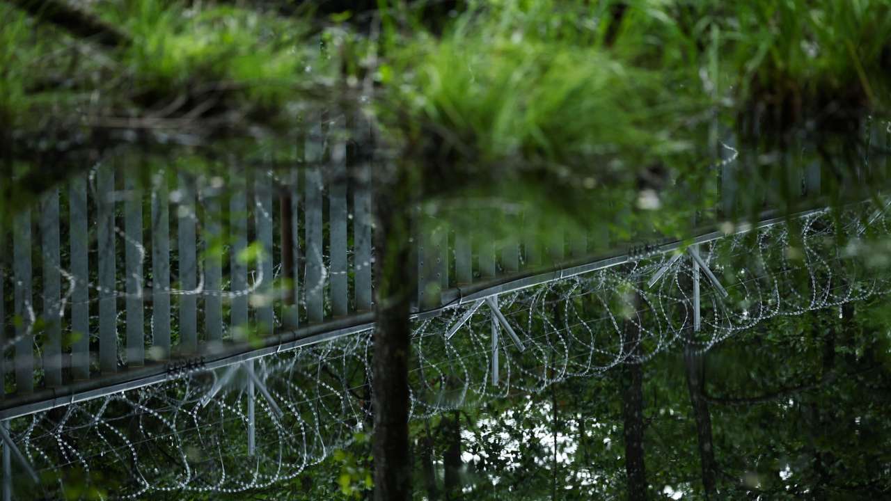 Migrant arrivals at Belarus border prompts possible reintroduction of Poland's buffer zone