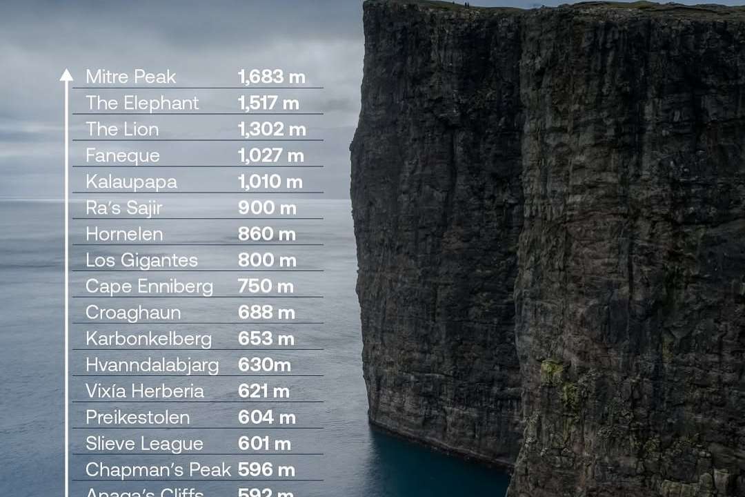 Mitre Peak in New Zealand is widely considered the tallest, with a near-vertical drop of 1,683 meters directly into Milford Sound. Height discrepancies often stem from how “sea cliff” is defined—whether by sheer verticality or overall