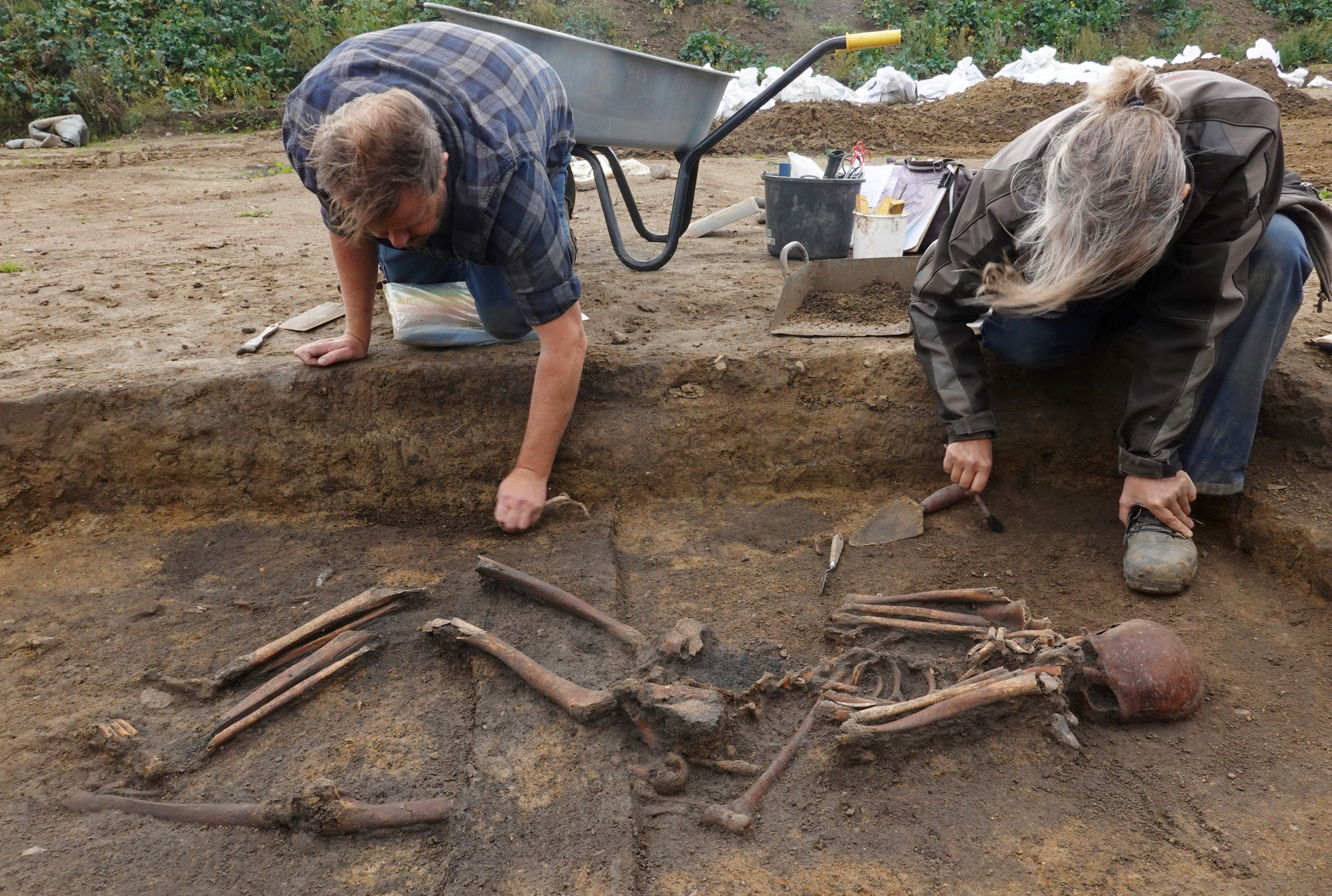 Danish archaeologists unearth 50 Viking skeletons