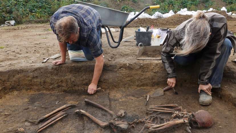 Danish archaeologists unearth 50 Viking skeletons