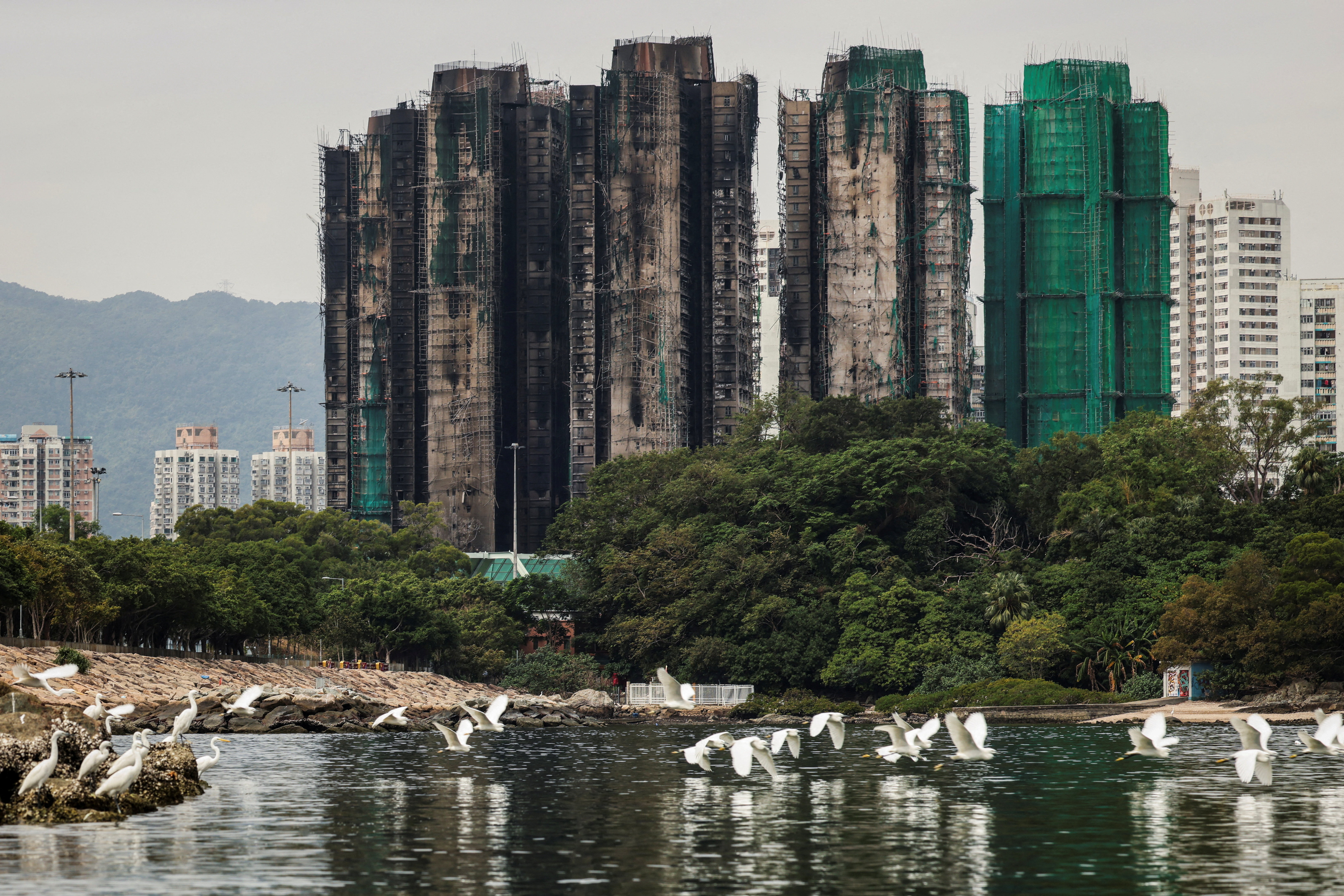 The Wider Image - Hong Kong fire: Echoes of loss below burnt towers
