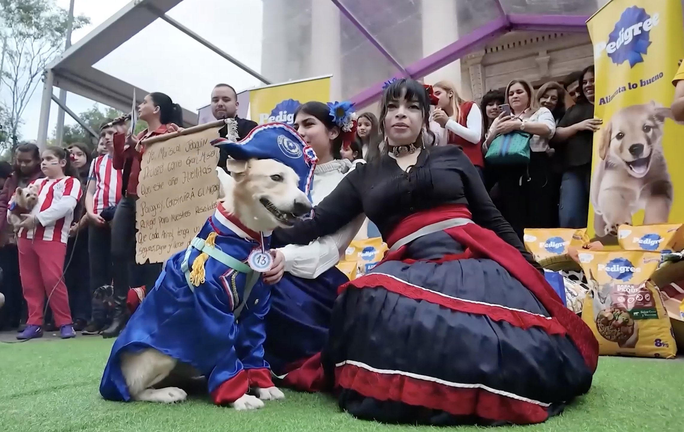 Dogs in patriotic costumes join Paraguay independe