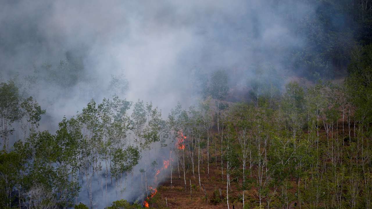 Smoke covers a forest during fires near Banjarmasin in South Kalimantan province