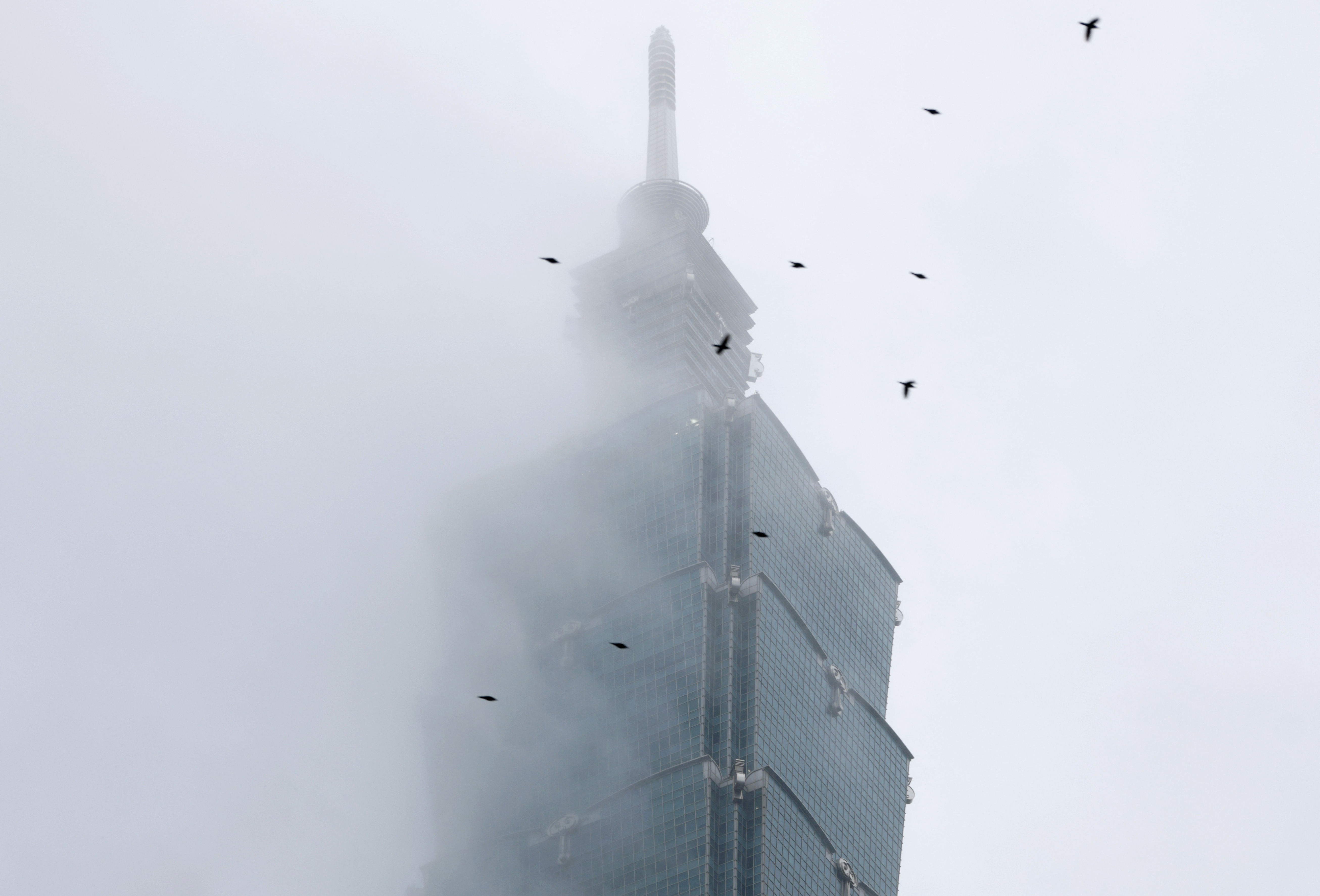 Climber Alex Honnold free soloing Taipei 101 Skyscraper