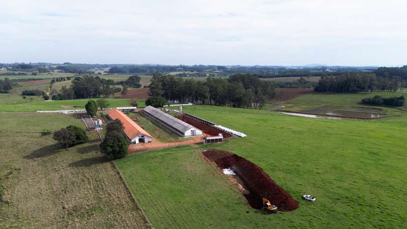 Bird flu in top chicken exporter Brazil triggers trade bans