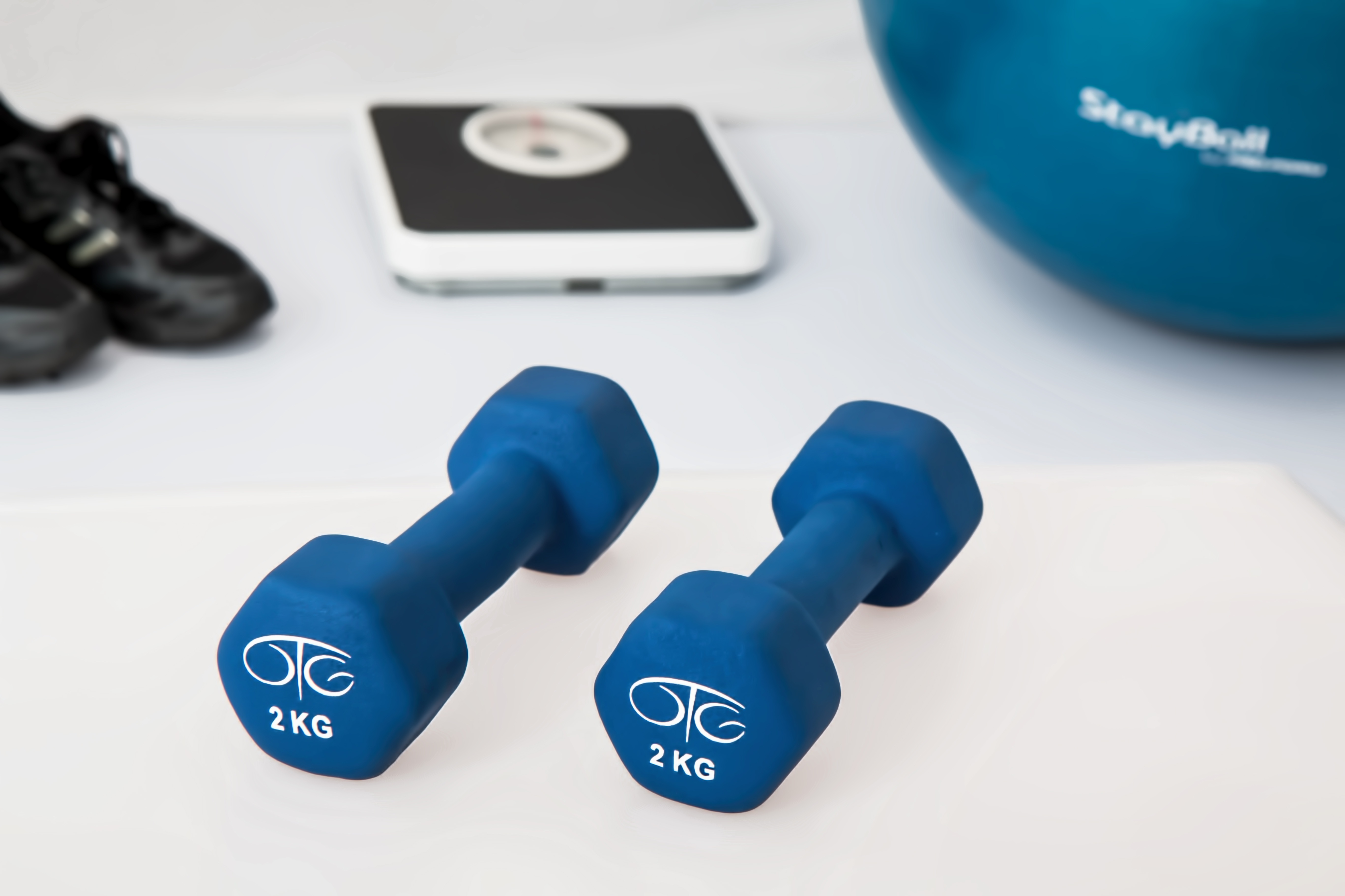 Halteres para musculação.