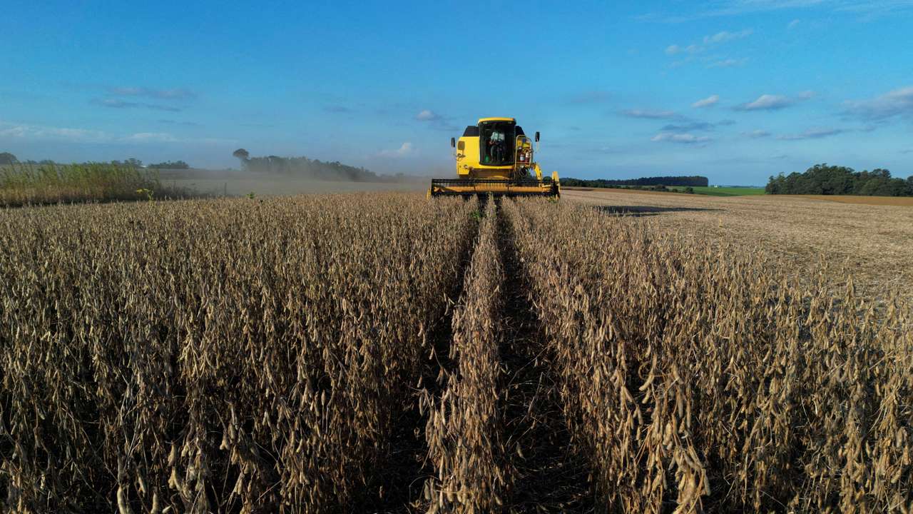 FILE PHOTO: Soybean harvest in Rio Grande do Sul state, Brazil