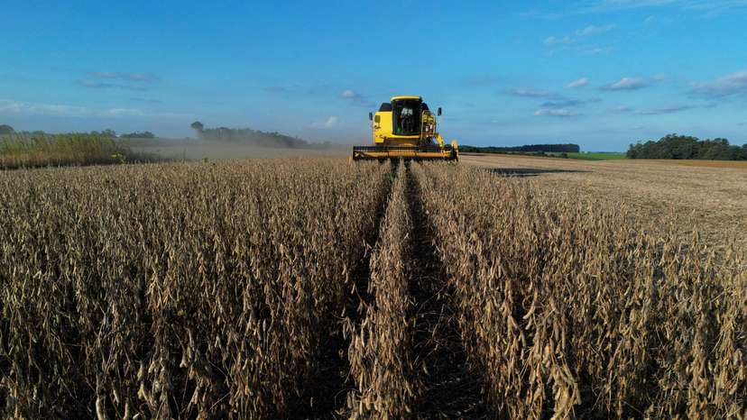 FILE PHOTO: Soybean harvest in Rio Grande do Sul state, Brazil