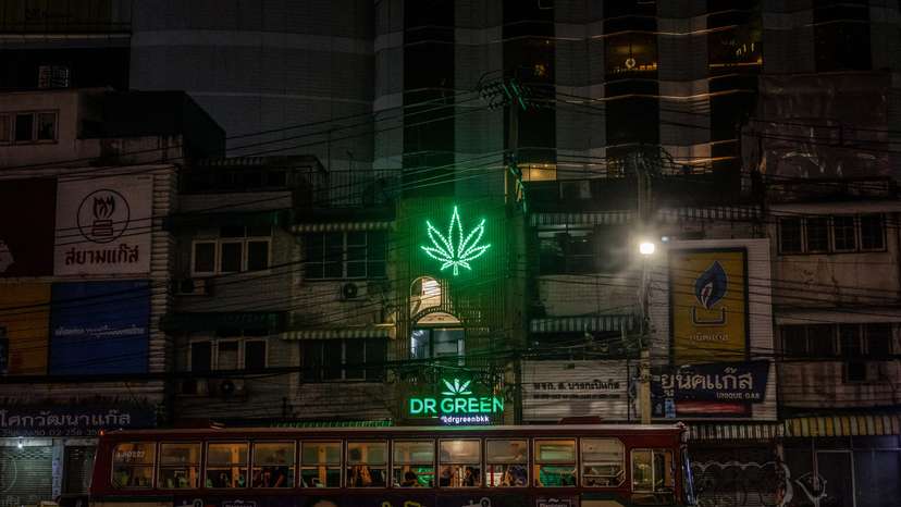 Thailand's flourishing cannabis culture to end as government seeks ban