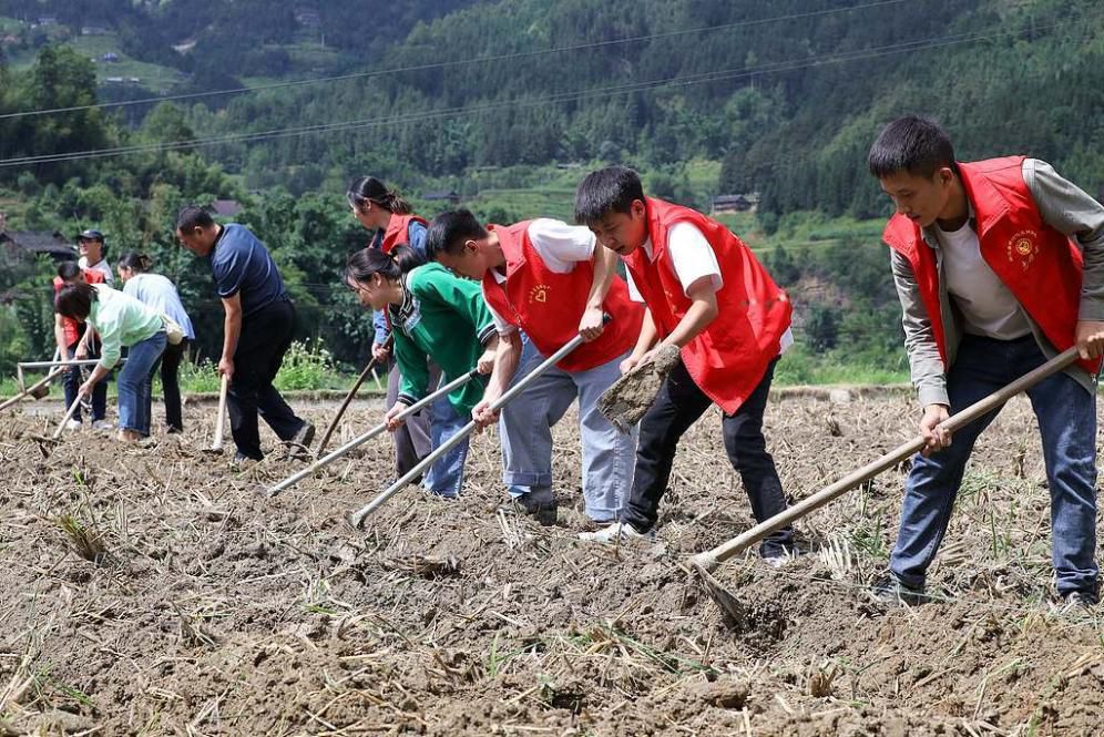 Farmers and CPC members work side by side to plough the fields and plant crops in Gaojiu Village in Guizhou on October 8, 2023. 