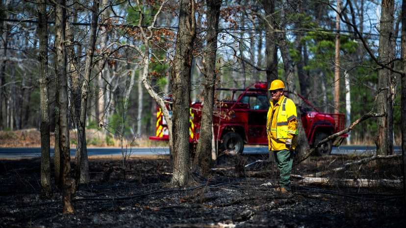 Wildfire in New Jersey