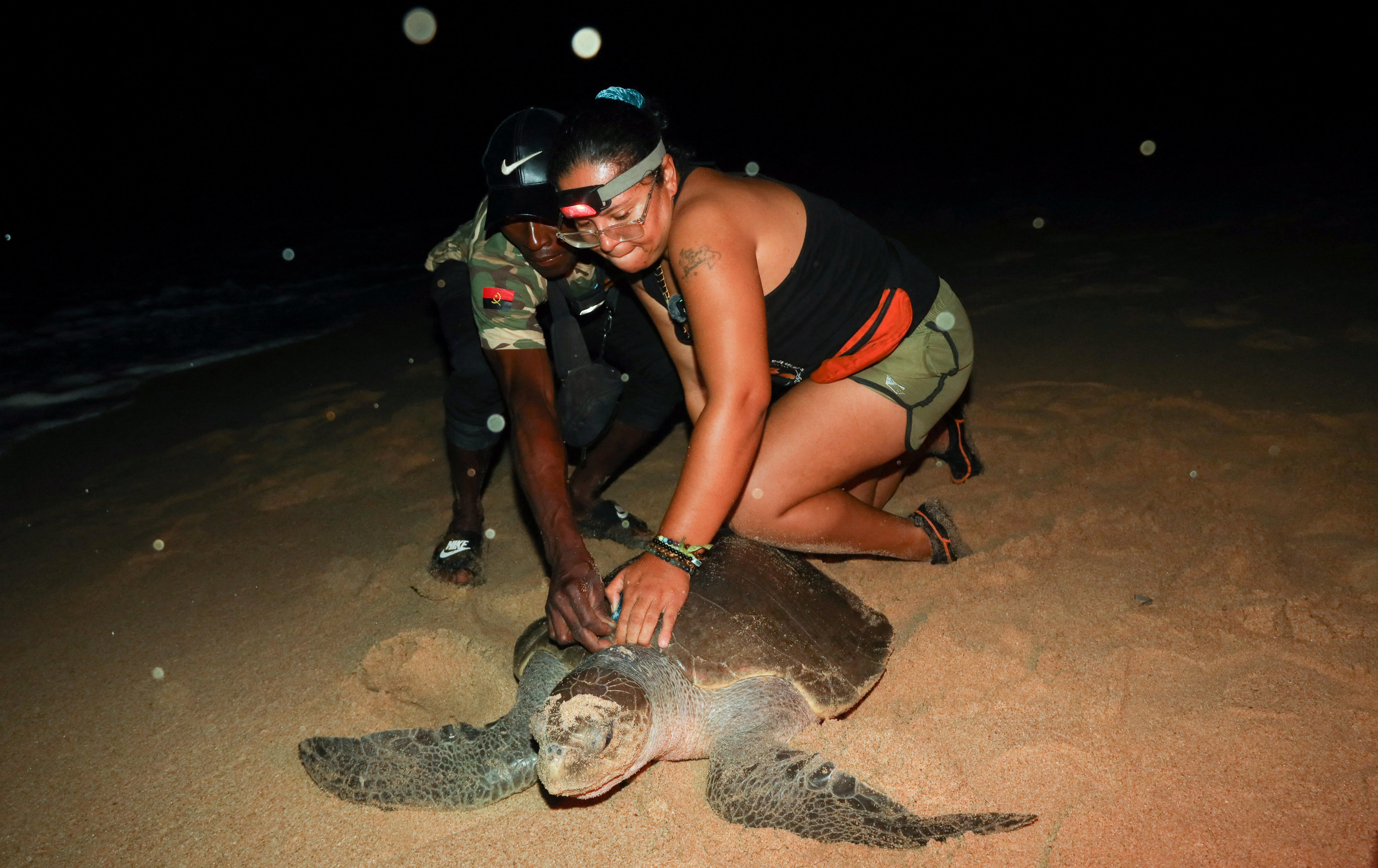 Angolan villagers go from sea turtle hunters to protectors