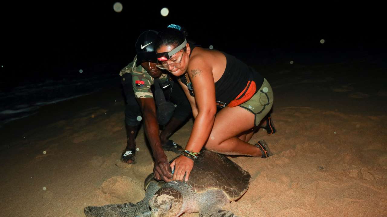 Angolan villagers go from sea turtle hunters to protectors