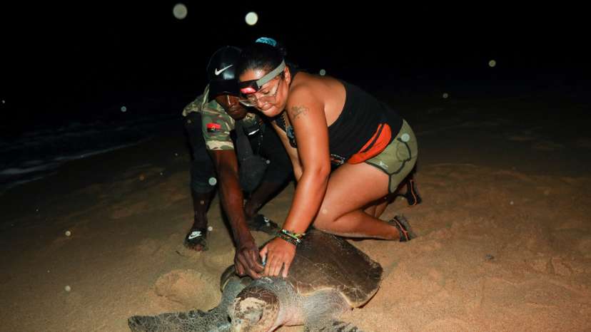 Angolan villagers go from sea turtle hunters to protectors