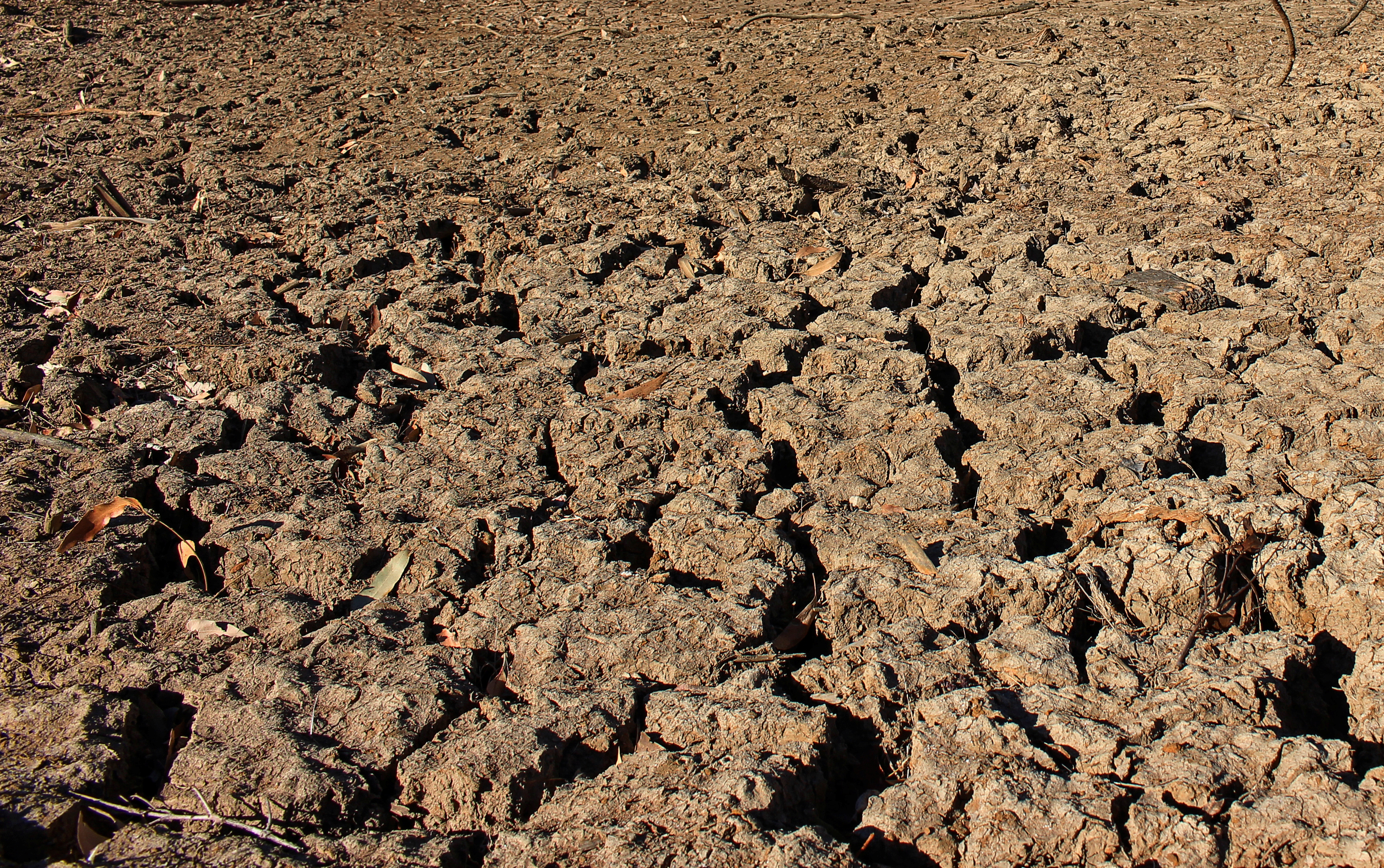 A view of cracked earth due to drought at a small water reservoir in Armidale in rural Australia